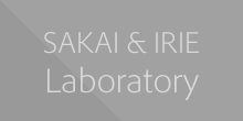 SAKAI & IRIE Laboratory