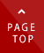 PAGE TOP