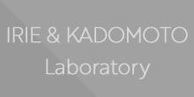 IRIE & KADOMOTO Laboratory